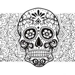 Dyedbro Accessoires Cadre Dia De Muertos Kit De Protection De Cadre, Transparent/noir