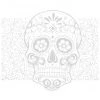 Dyedbro Accessoires Cadre Dia De Muertos Kit De Protection De Cadre, Transparent/blanc