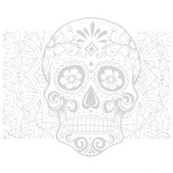 Dyedbro Accessoires Cadre Dia De Muertos Kit De Protection De Cadre, Transparent/blanc