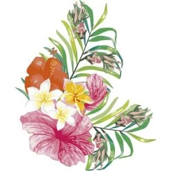 Dyedbro Accessoires Cadre Hawaii Kit De Protection De Cadre