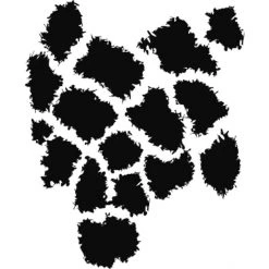 Dyedbro Accessoires Cadre K Mack Animal Print Kit De Protection De Cadre, Transparent/noir